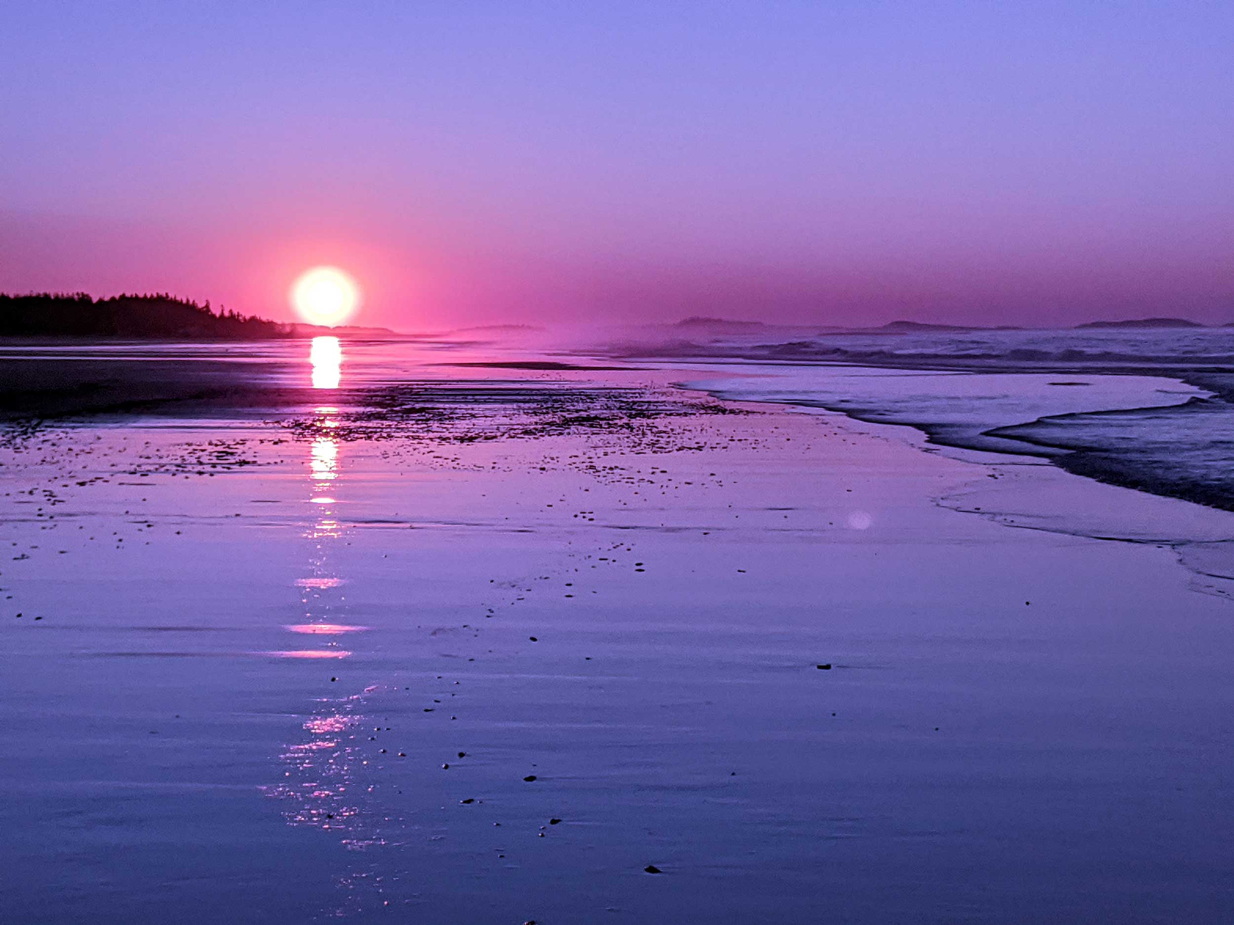 #11-Purple-Rise-8x10-photo-matted-$75